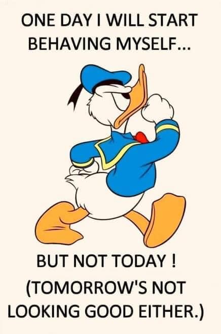 sasfdsaddgf